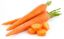 Picture of FRESH CARROTS